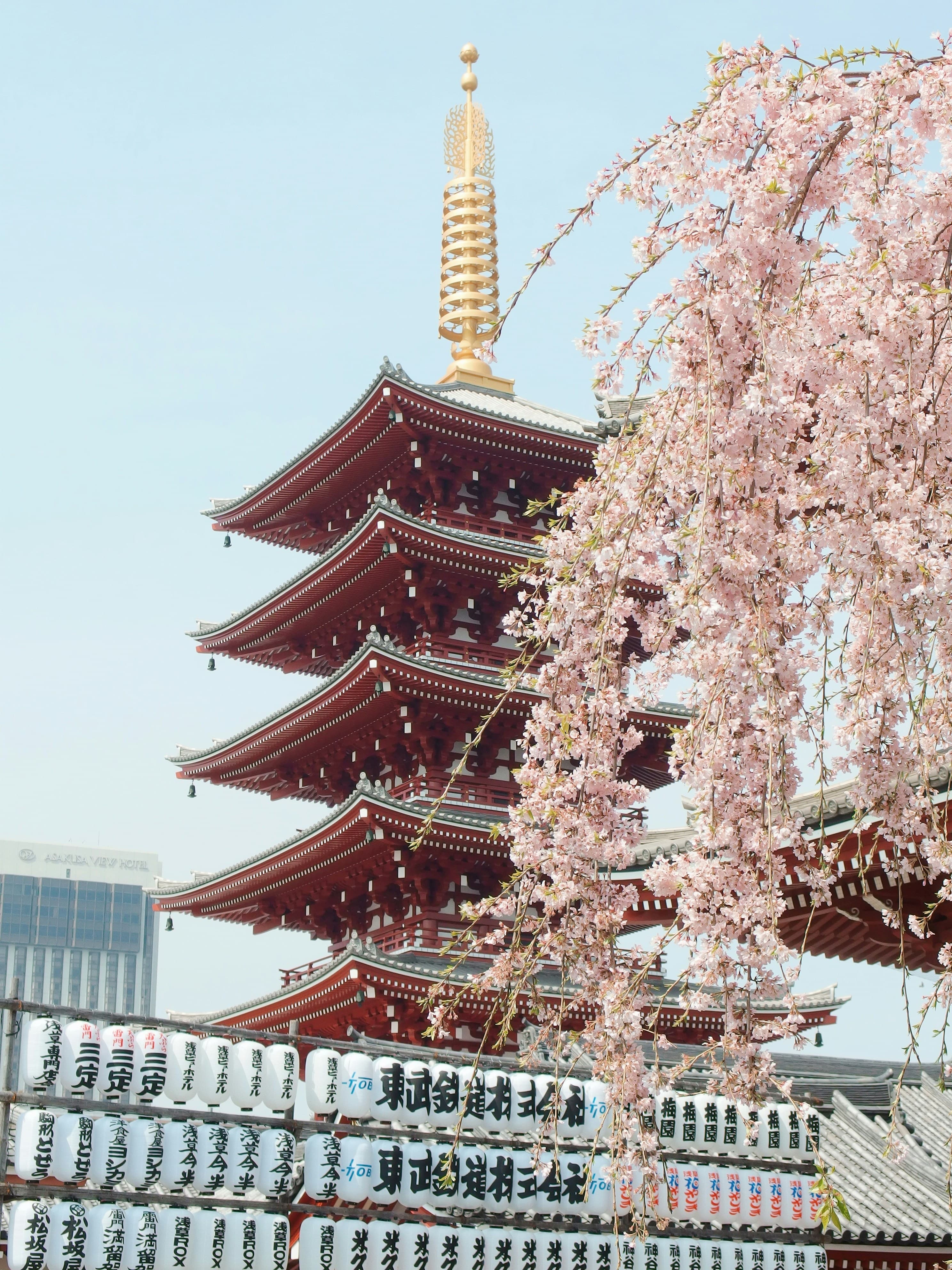 2021-japao